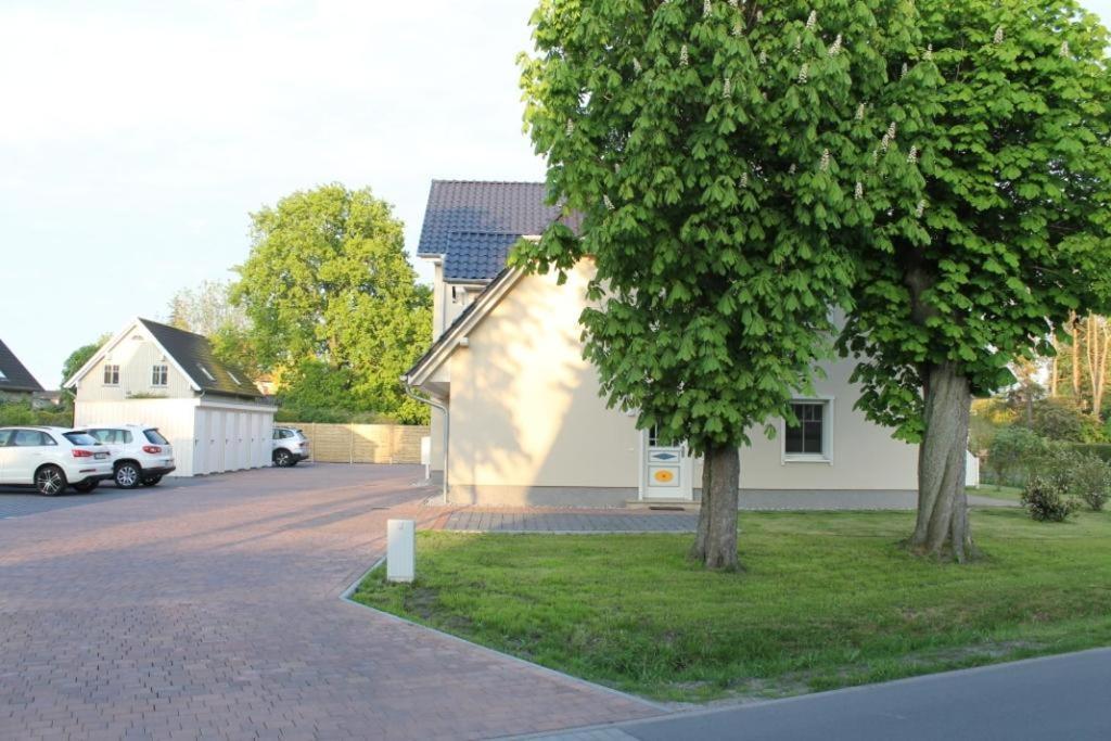 Neue Reihe 28 - Wohnung Vogelnest Zingst Exterior photo